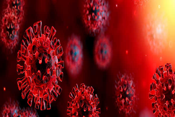 Coronavirus All You Need To Know Kiwi Kids News